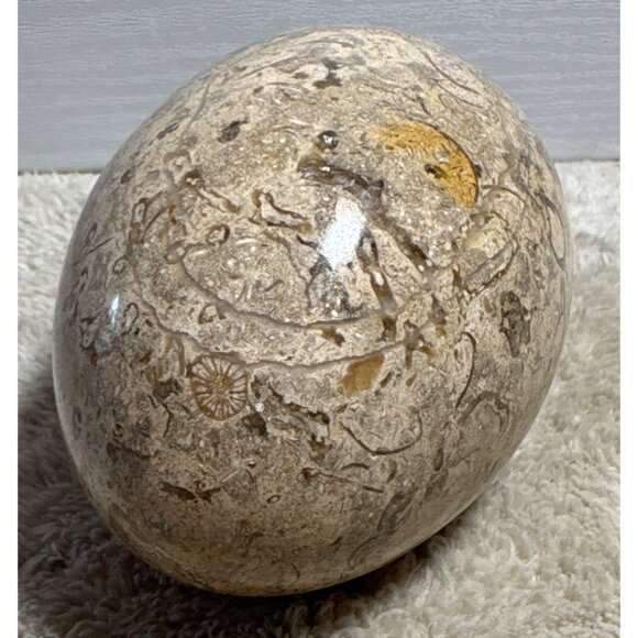 Polished Fossilized Stone Egg With Intricate Natural Patterns Beige Brown 4" - Picture 5 of 7